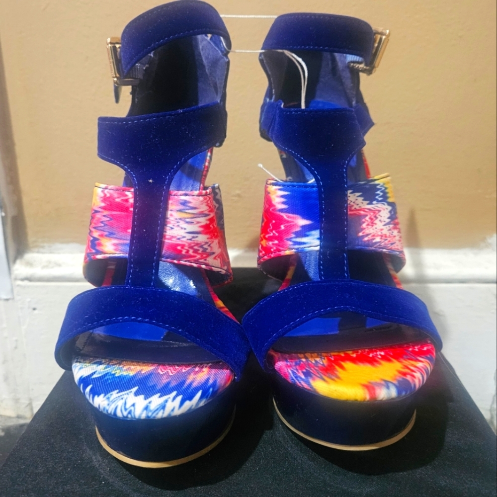 Multicolored Wedges